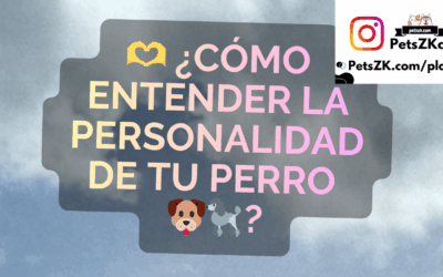 ¿Cómo entender la personalidad de tu perro?